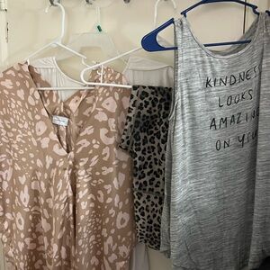 Leopard Print V-Neck Blouse